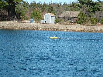 Enlarge photo 825