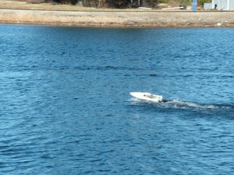 Enlarge photo 832