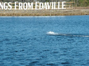 Enlarge photo 835