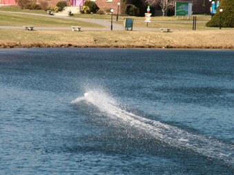 Enlarge photo 842
