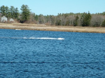 Enlarge photo 872