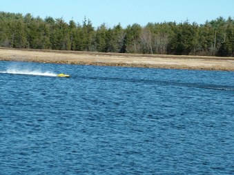 Enlarge photo 873