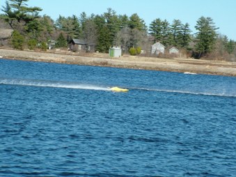 Enlarge photo 954