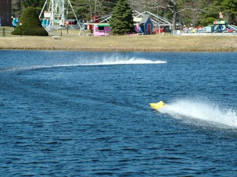 Enlarge photo 961