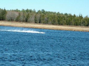 Enlarge photo 966