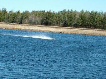 Enlarge photo 967