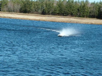 Enlarge photo 968