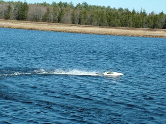 Enlarge photo 1068