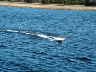 Enlarge photo 1069
