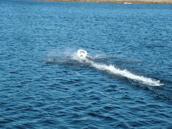 Enlarge photo 1073