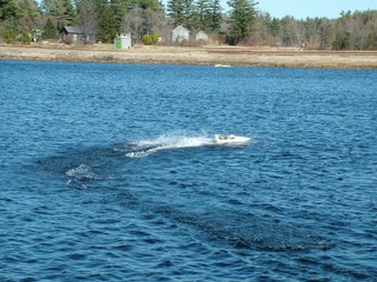 Enlarge photo 1074