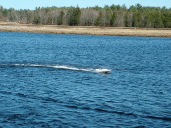 Enlarge photo 1075