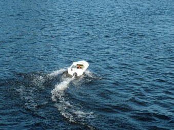 Enlarge photo 1081