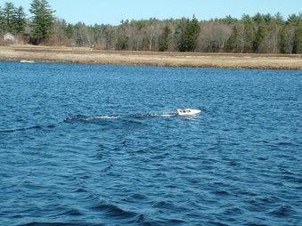 Enlarge photo 1084