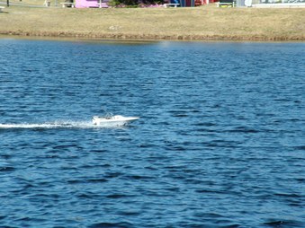 Enlarge photo 1091