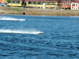 Enlarge photo 1093