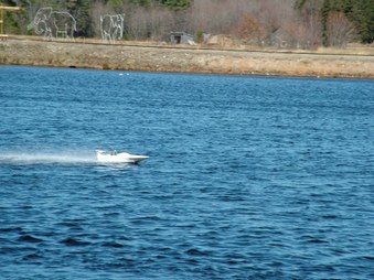 Enlarge photo 1094