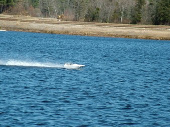 Enlarge photo 1096