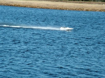 Enlarge photo 1097