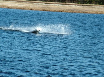 Enlarge photo 1098