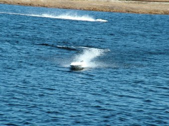 Enlarge photo 1100