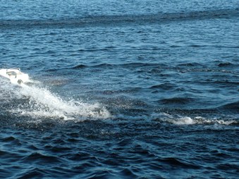Enlarge photo 1107