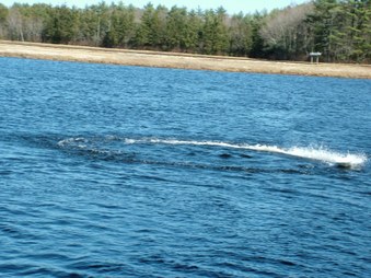 Enlarge photo 1112