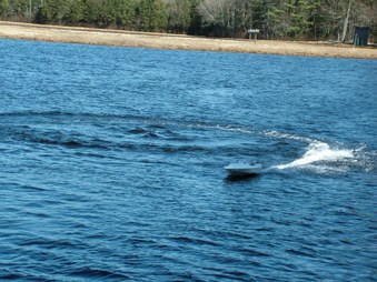 Enlarge photo 1113