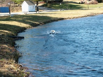 Enlarge photo 1119