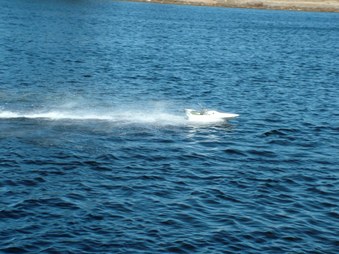 Enlarge photo 1121