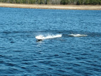 Enlarge photo 1124