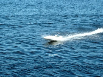 Enlarge photo 1125