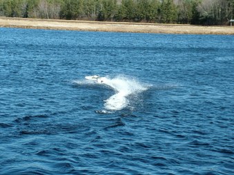 Enlarge photo 1138