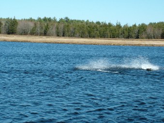 Enlarge photo 1140