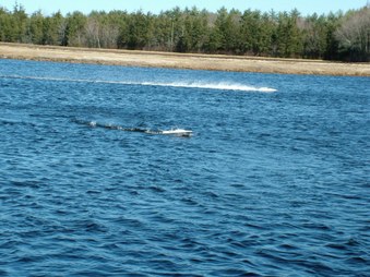 Enlarge photo 1142
