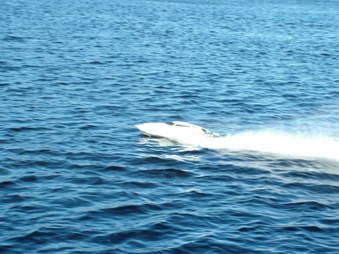 Enlarge photo 1144