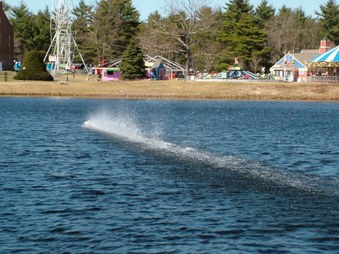 Enlarge photo 1146