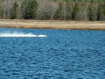 Enlarge photo 1149