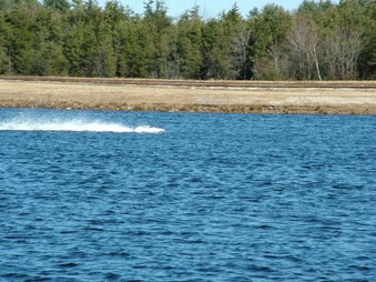 Enlarge photo 1150
