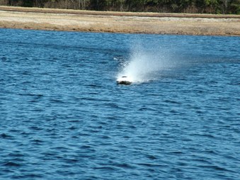 Enlarge photo 1153