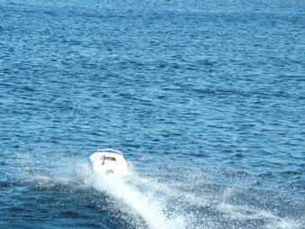 Enlarge photo 1170