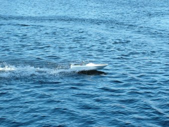 Enlarge photo 1171