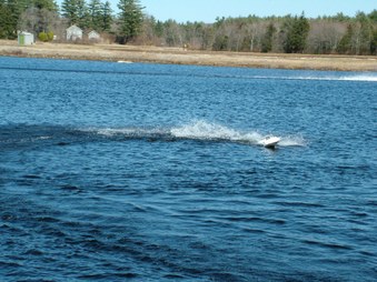 Enlarge photo 1177