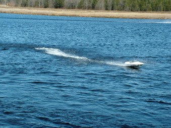 Enlarge photo 1178