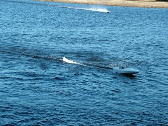 Enlarge photo 1179