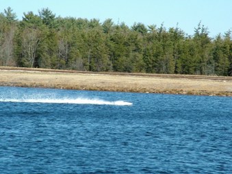 Enlarge photo 1202