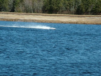 Enlarge photo 1203