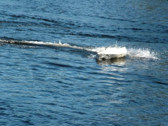 Enlarge photo 1266