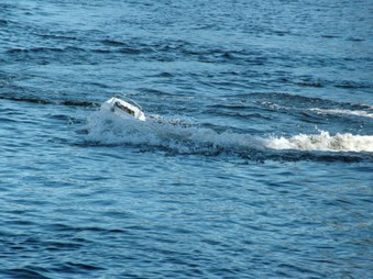 Enlarge photo 1267