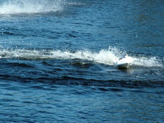 Enlarge photo 1269